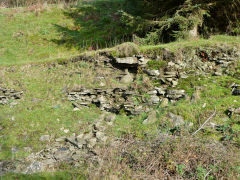 Trwyn farmhouse, Nant Gwyddon Valley, Abercarn, November 2011